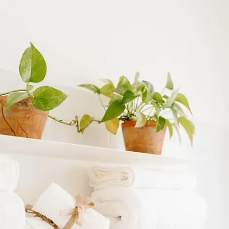Bonsai House - The Place To Be! Апартаменты *