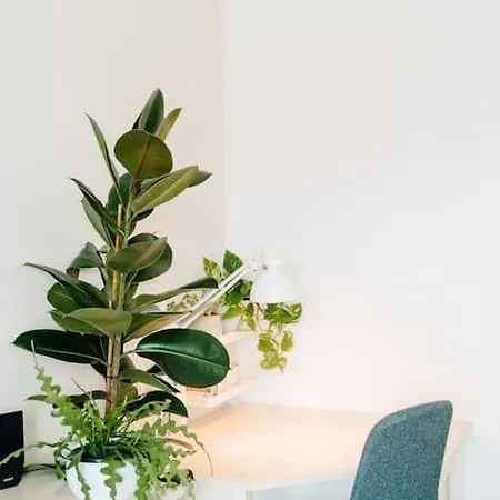 Apartmán Bonsai House - The Place To Be! Chiadino
